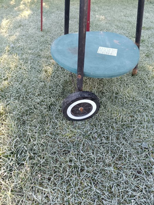 Grill na działkę , ryby 2 sztuki