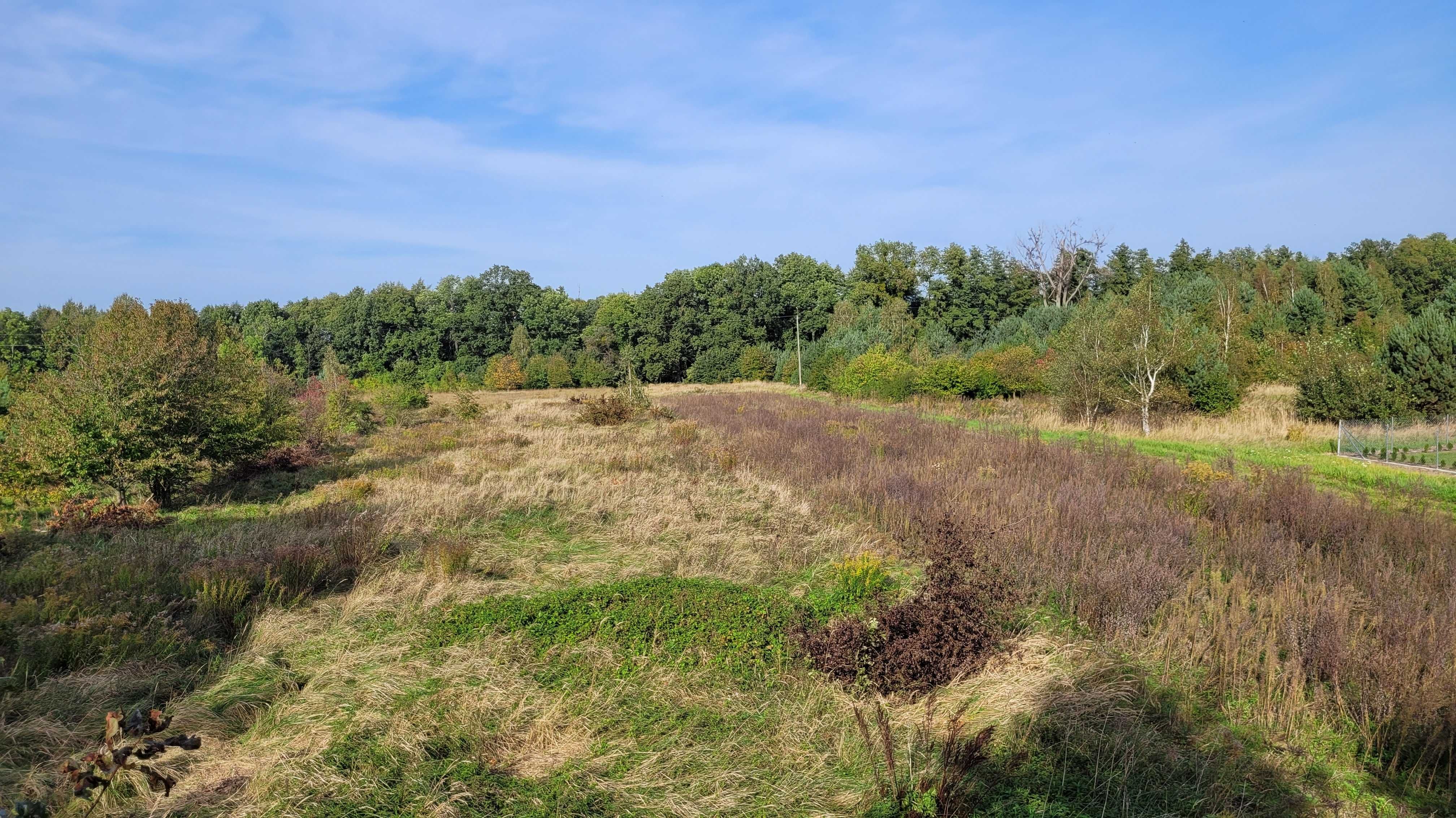 Działka budowlana w Szczepanowie (Średzki) 15 arów