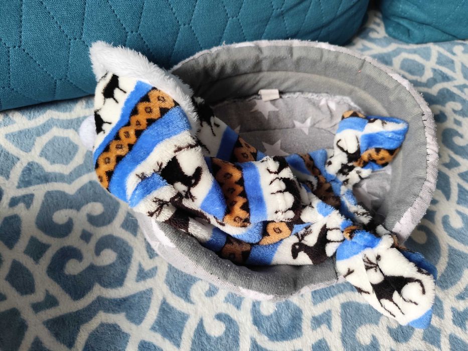 Jesienne ubranka dla małego pieska