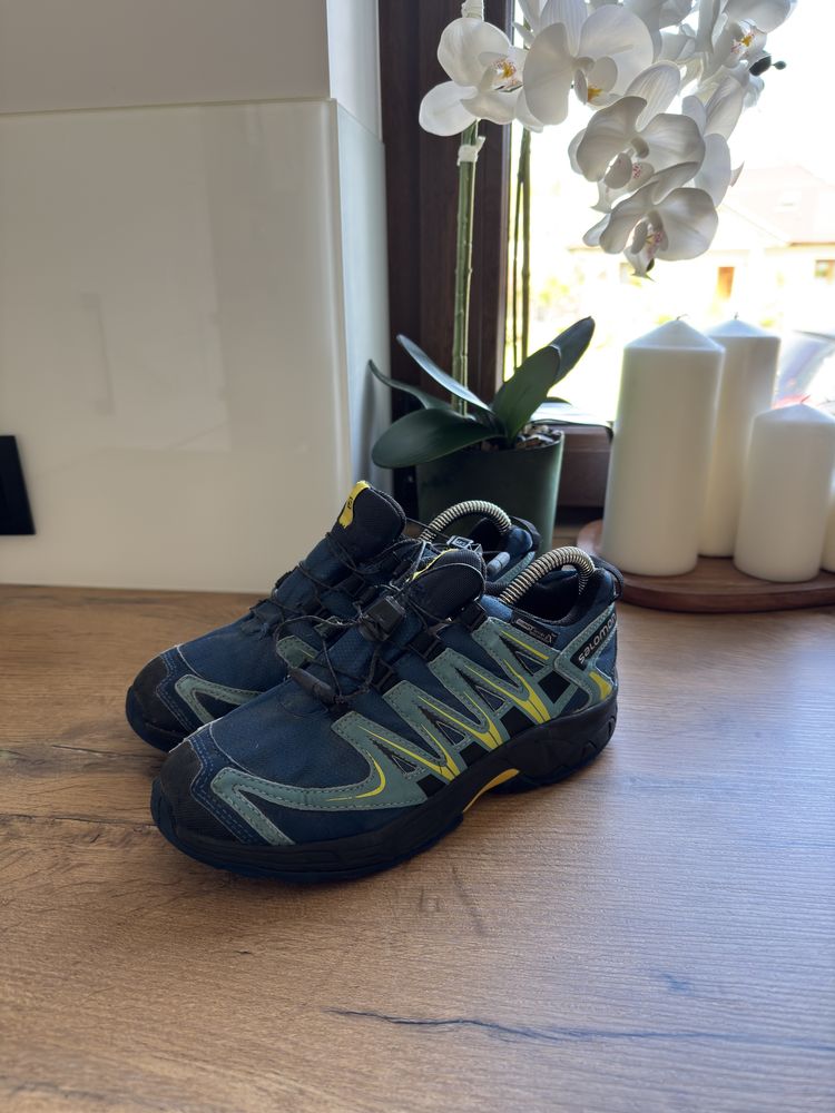 Buty trekkingowe Salomon Xa Pro 3D