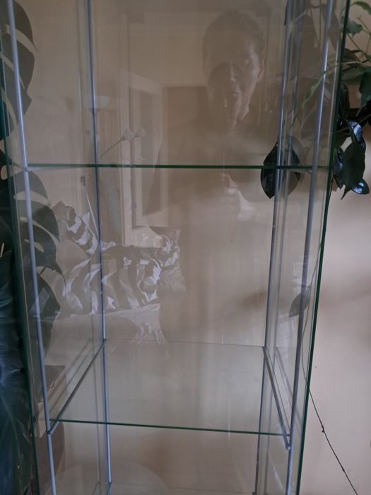 Witryna Ikea Detolf