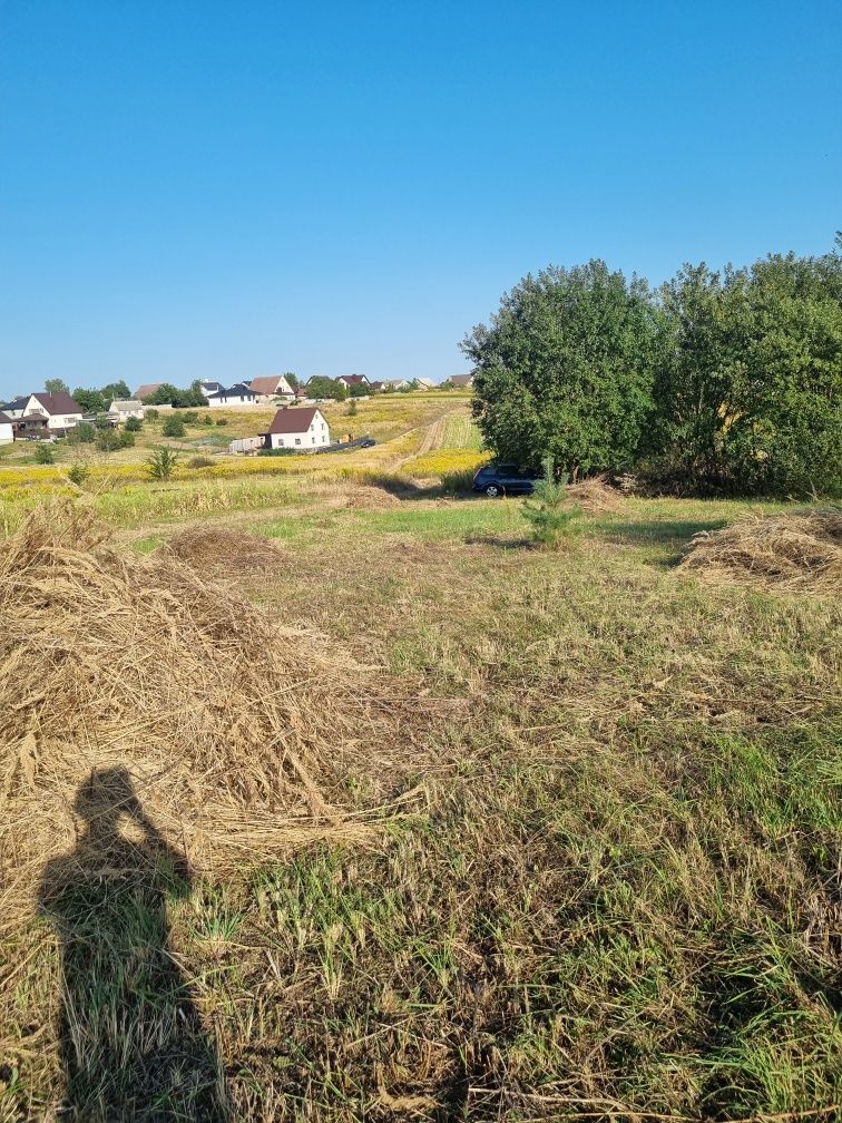 Віддам сіно Безкоштовно