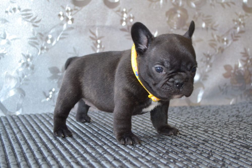 Маленька, розкішна дівчинка