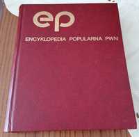 Encyklopedia Popularna PWN Jak Nowa