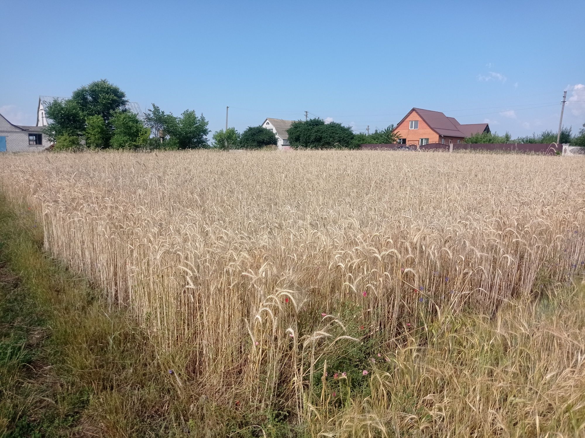 Земельна ділянка під застройку