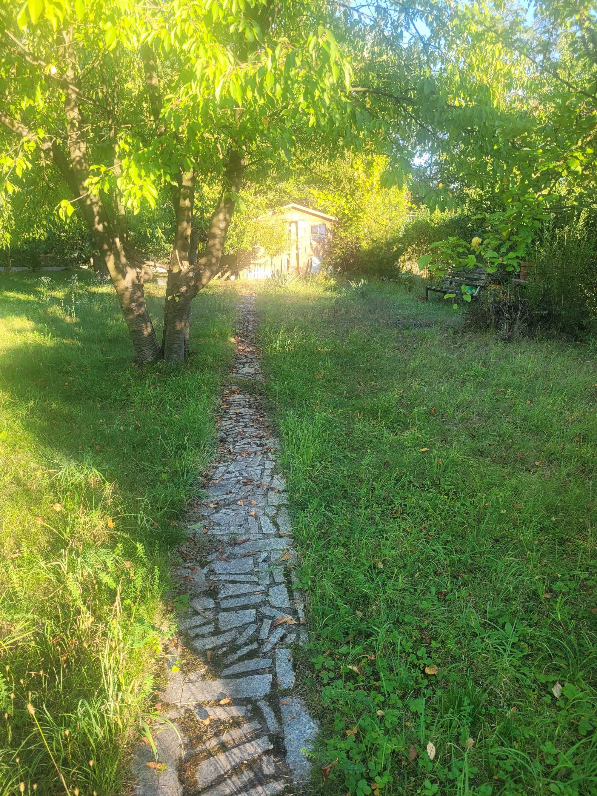 Ogródek działkowy działka ROD, Ołtaszyn Orawska/Łubinowa, odstąpię