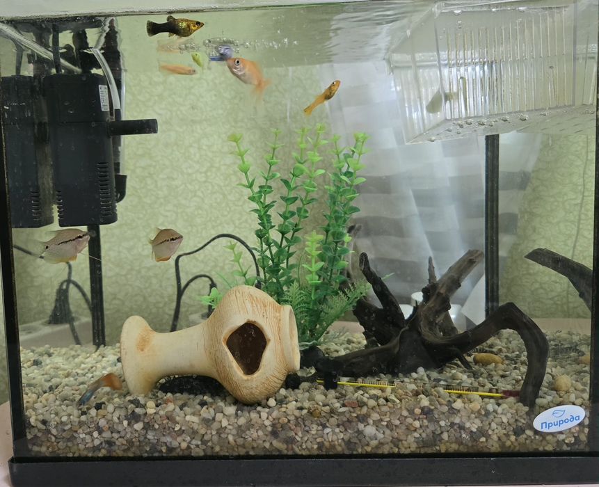 Акваріум з рибками.ПОВНИЙ КОМПЛЕКТ!