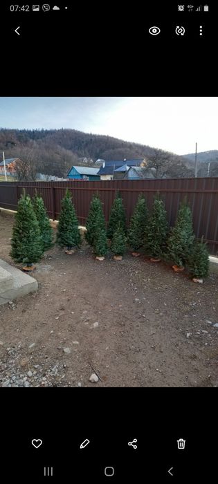 Плетені,в'язані ялинки ручної роботи та гілочки