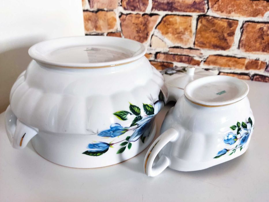 Waza sosjerka Chodzież piękne