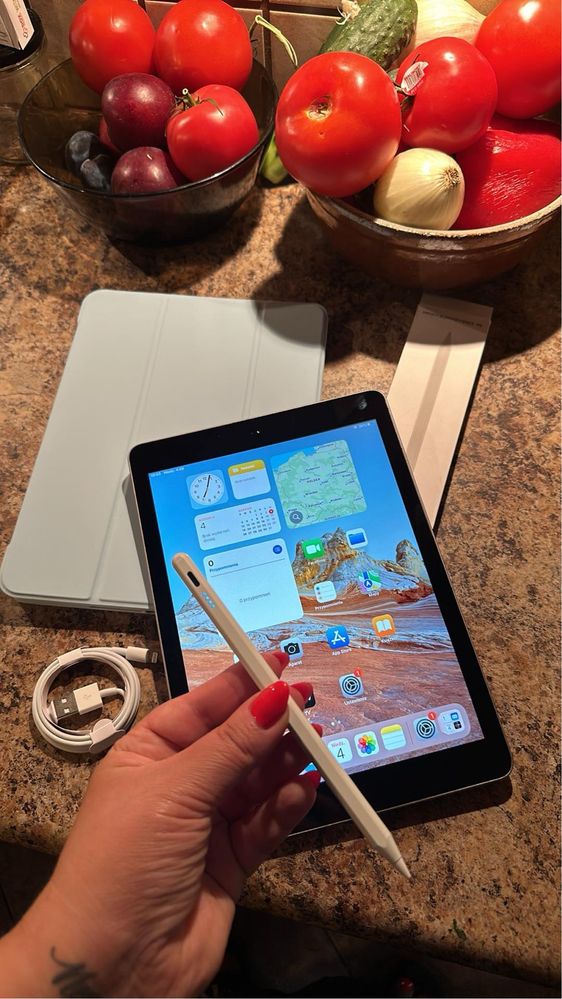 Tablet iPad Apple Retina - TOUCH ID - PROCREATE