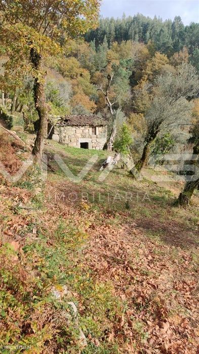 Moradia para Restaurar T1 Venda em Valdosende,Terras de Bouro