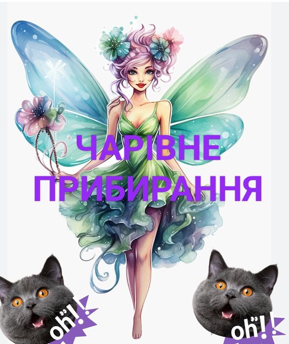 Прибирання квартир,приміщень,офісів