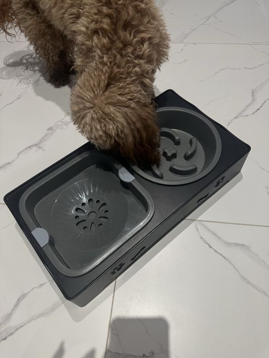 Миска для песика