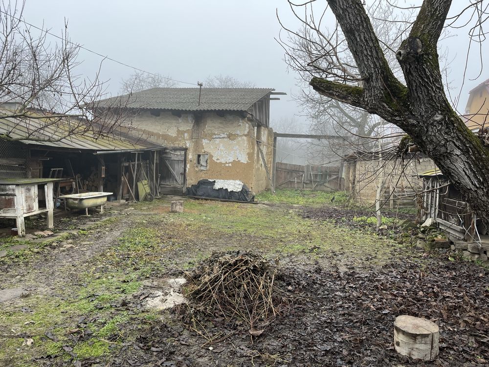 Дім 108 м2, приват ділянка 18 сотин, Берегово Кініжі 48.
