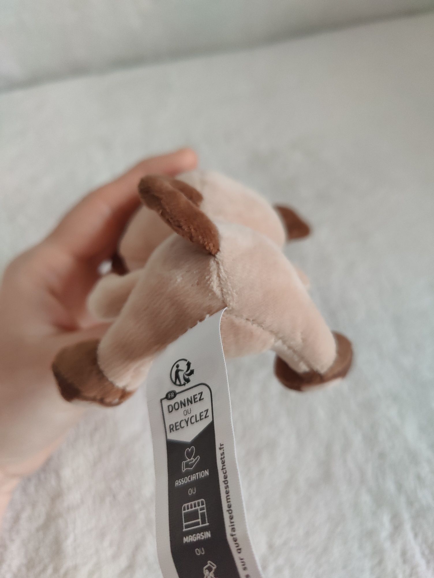 Buldog mops piesek Beau ojo kula jajko niespodzianka oczy brokatowe