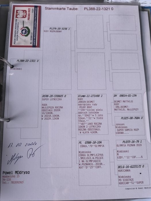 Pocztowe do rozpłodu