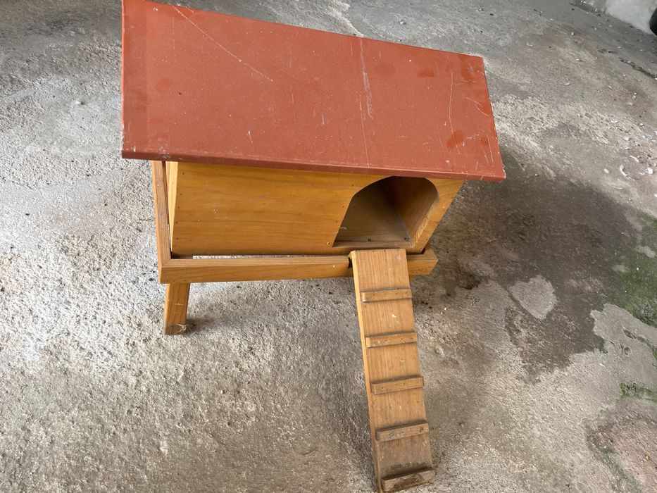 Casinha para patos