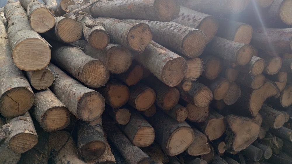 Drzewo drewno kominkowe opałowe rozpałkowe transport