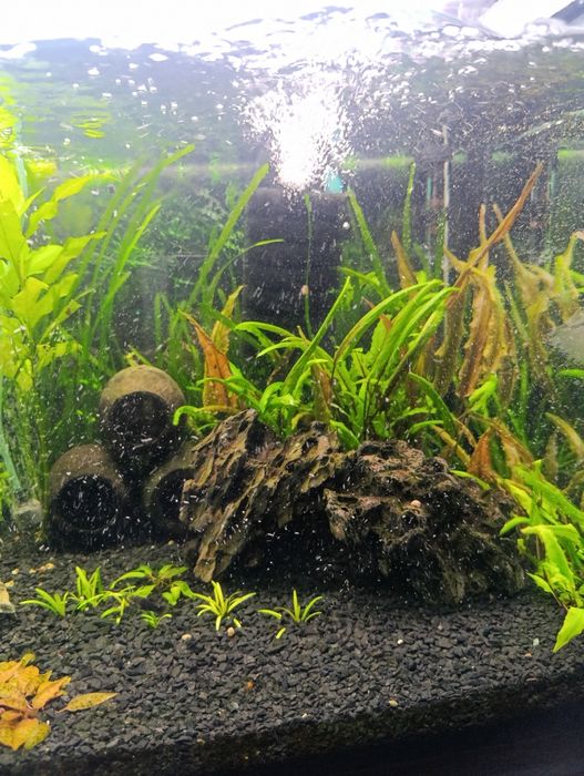 Продам аквариум на 240 литров