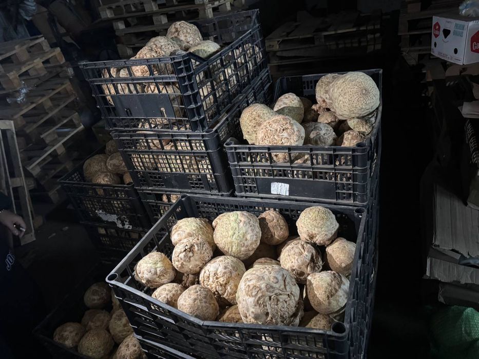 Селера, мита , чищена