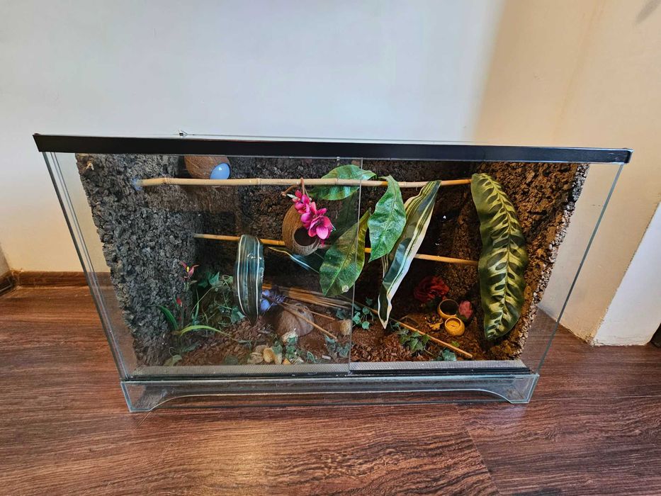 Duże Terrarium szklane z tłem korkowym i wyposażeniem dla Gekona Węża