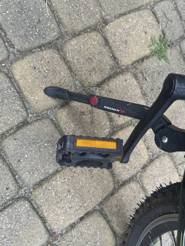 Rower dziecięcy Arkus beryl 240
