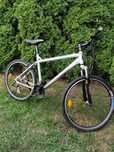 Rower Haro Flightline