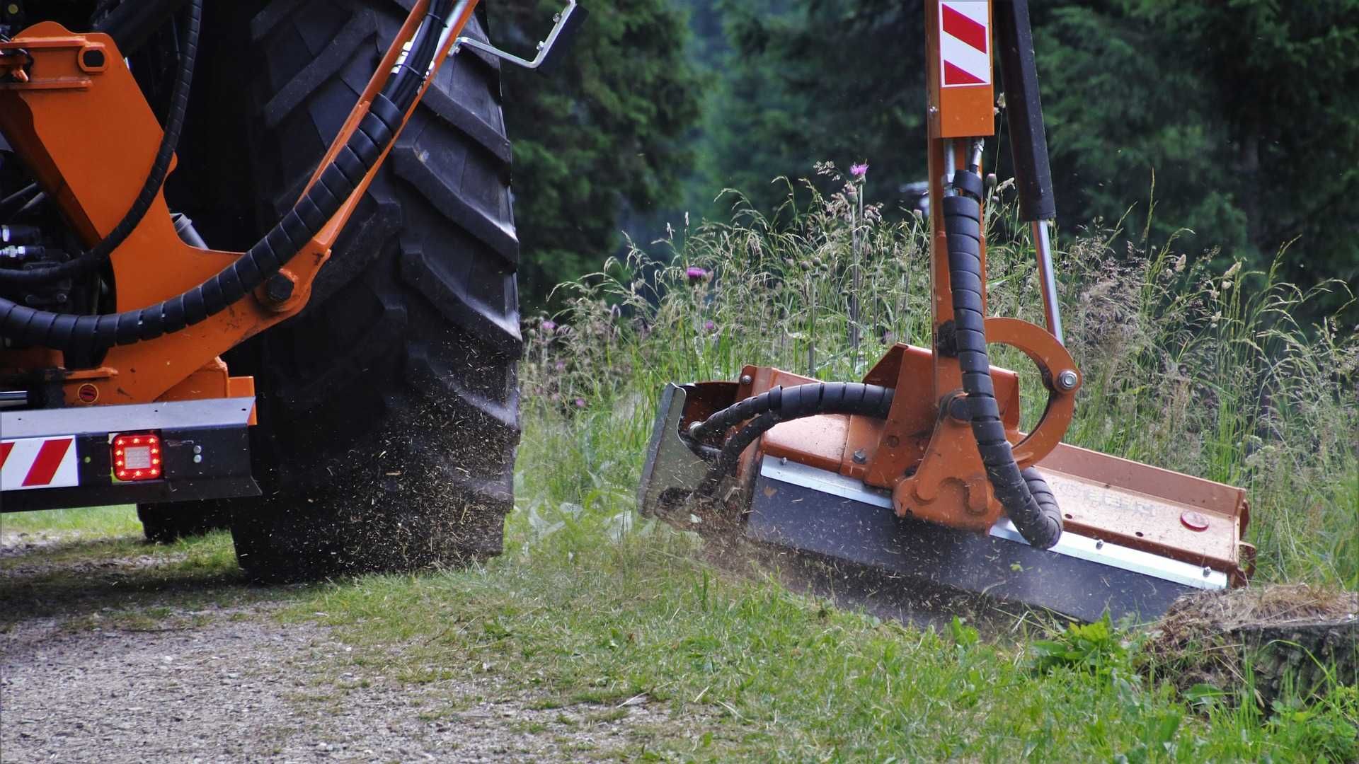 Wycinka drzew, Utrzymanie terenów zielonych i dróg – Gniezno i okolice