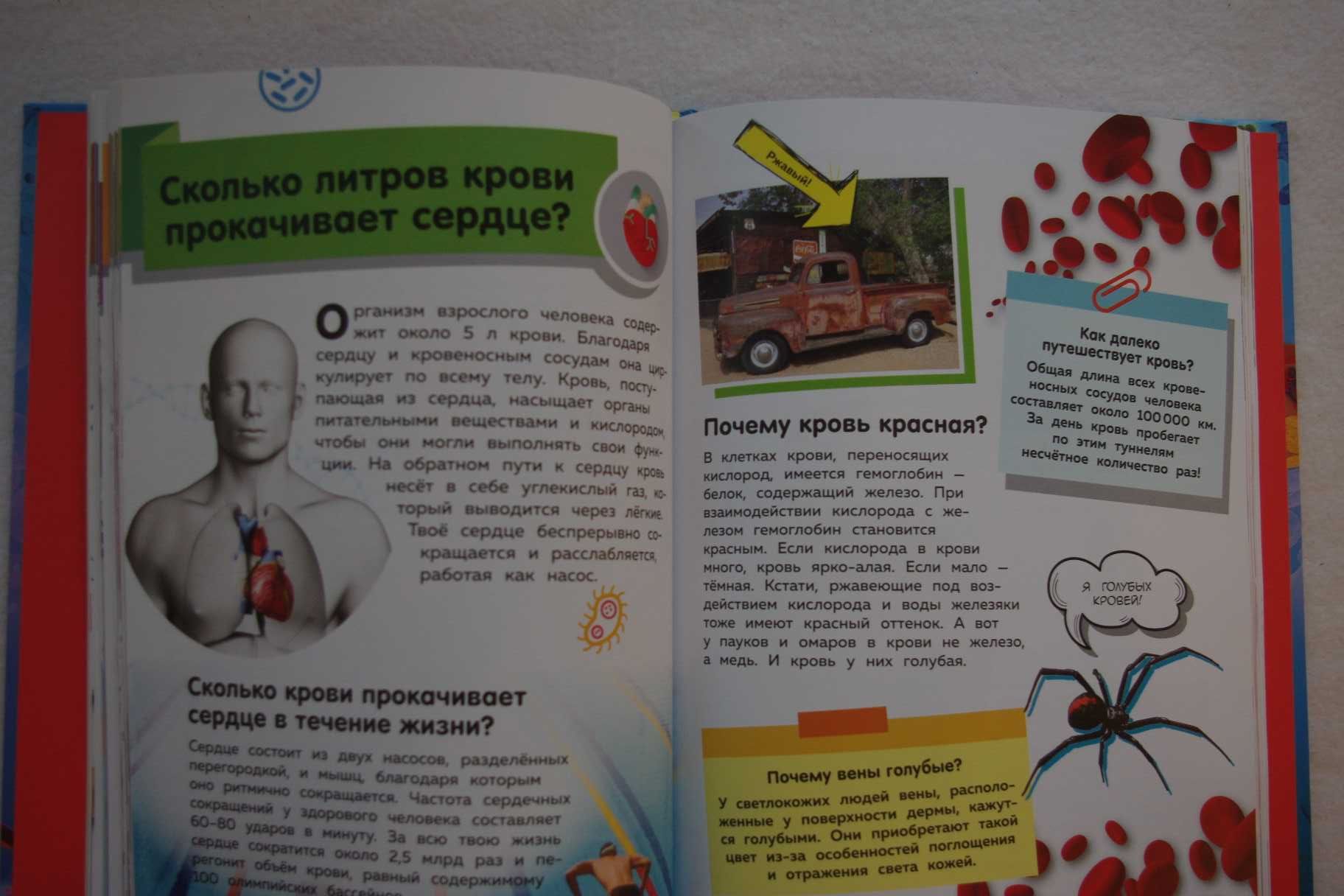 Путеводитель по телу человека. Вопросы и ответы