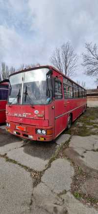 Автобус  Ікарус- 256.51