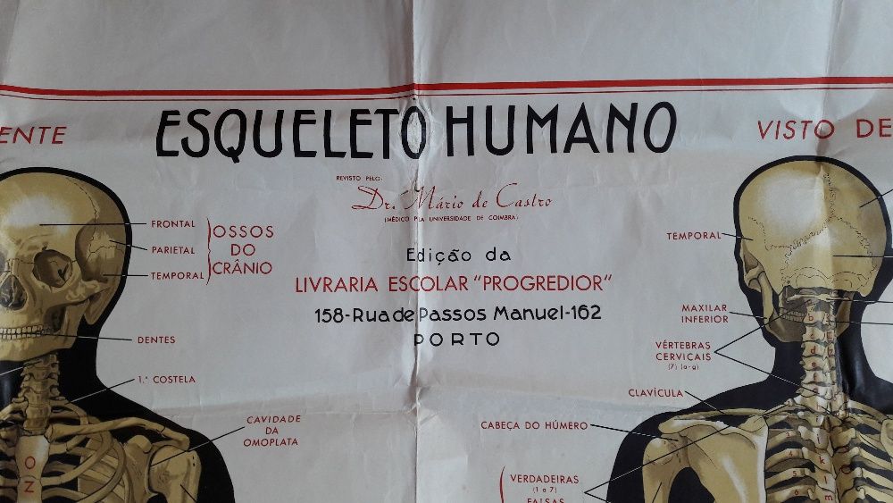 Cartaz escolar de 1960