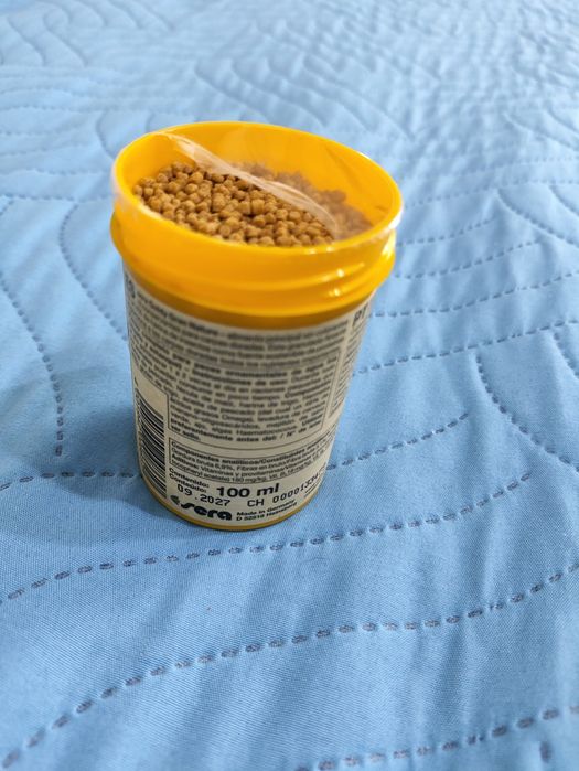 Vários tipos de comida kinguio