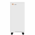 Bateria Felicity 48300 LiFePO4 15kWh