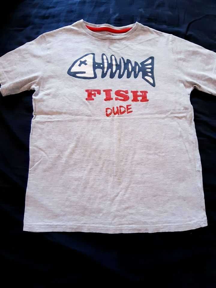 Lote t-shirts 11 anos