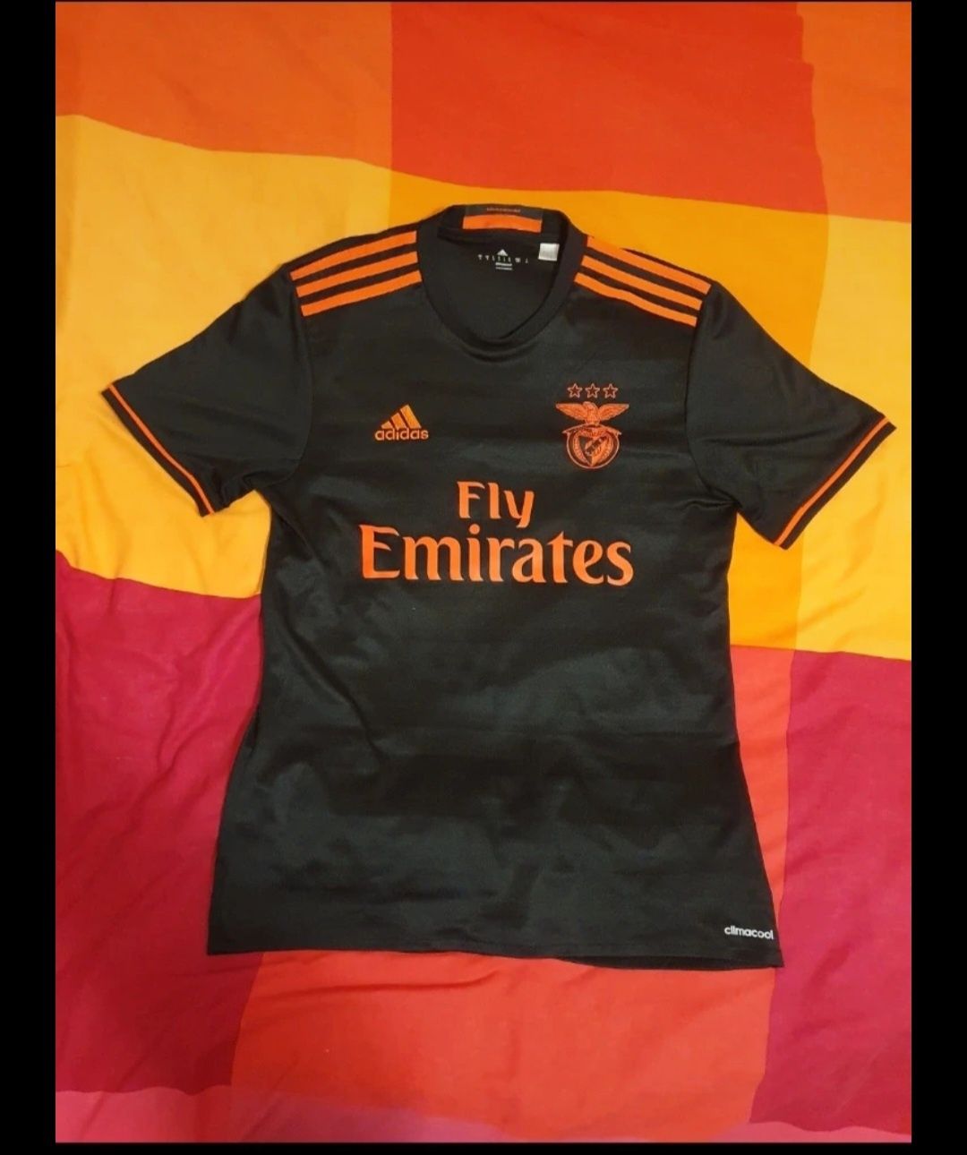 Camisola oficial do Benfica.
Equipamento secundário