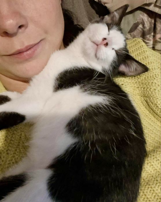 Pepe szuka swojego domu