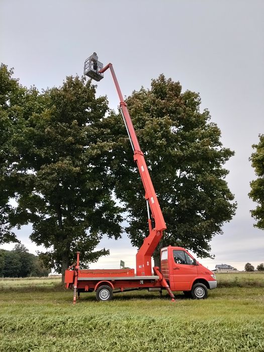 Wycinka drzew czyszczenie rynien zwyżka podnośnik koszowy