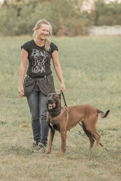 Дрессировка собак Днепр/K-9 Aus Sursko-Litovsk