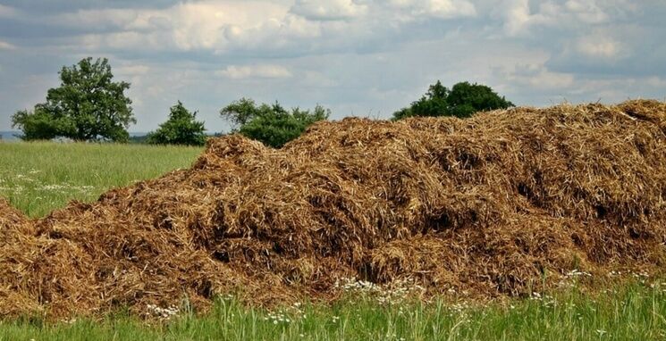 Obornik Koński Naturalny nawóz Przerobiony