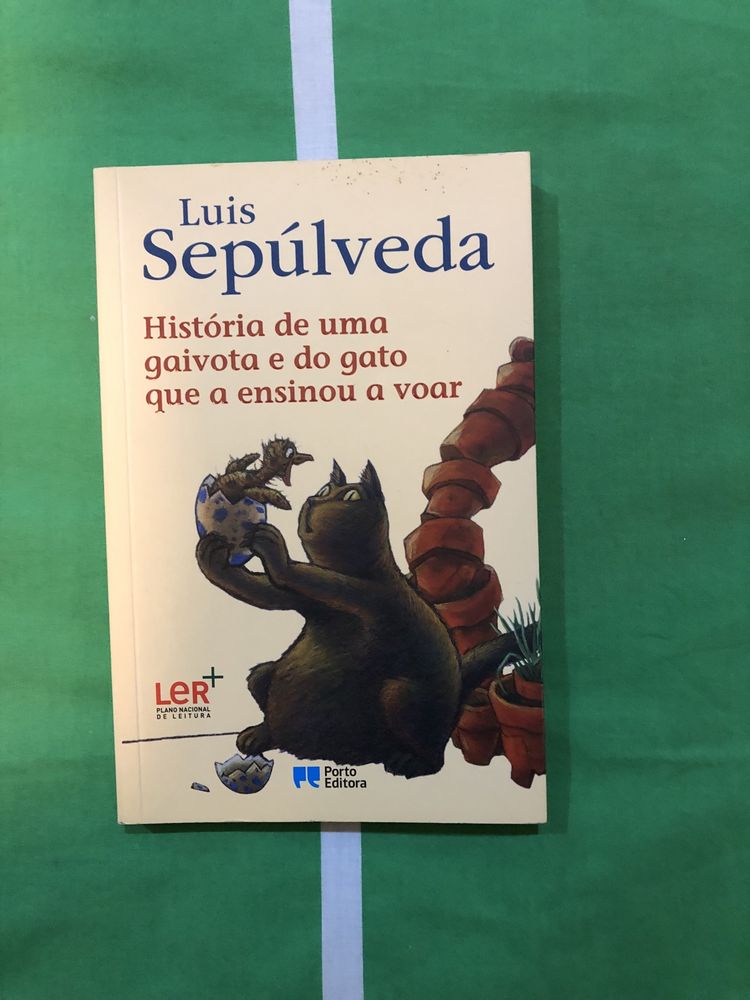 Conjunto de livros infantis e animados