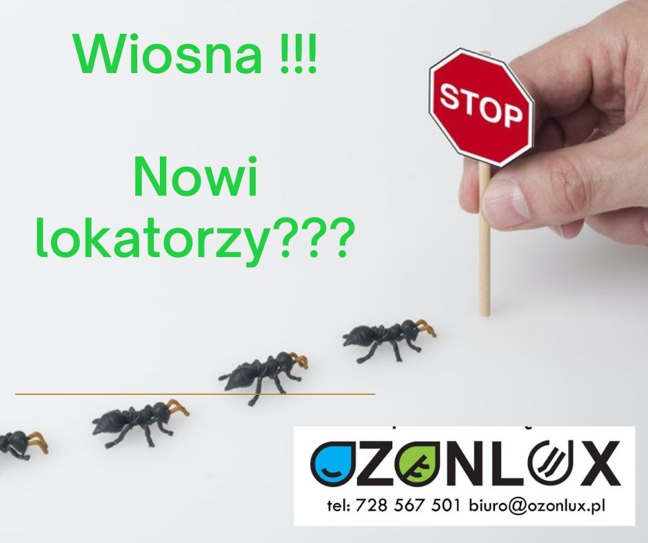 Pluskwy mole dezynfekcja szczury karaluchy ozonowanie