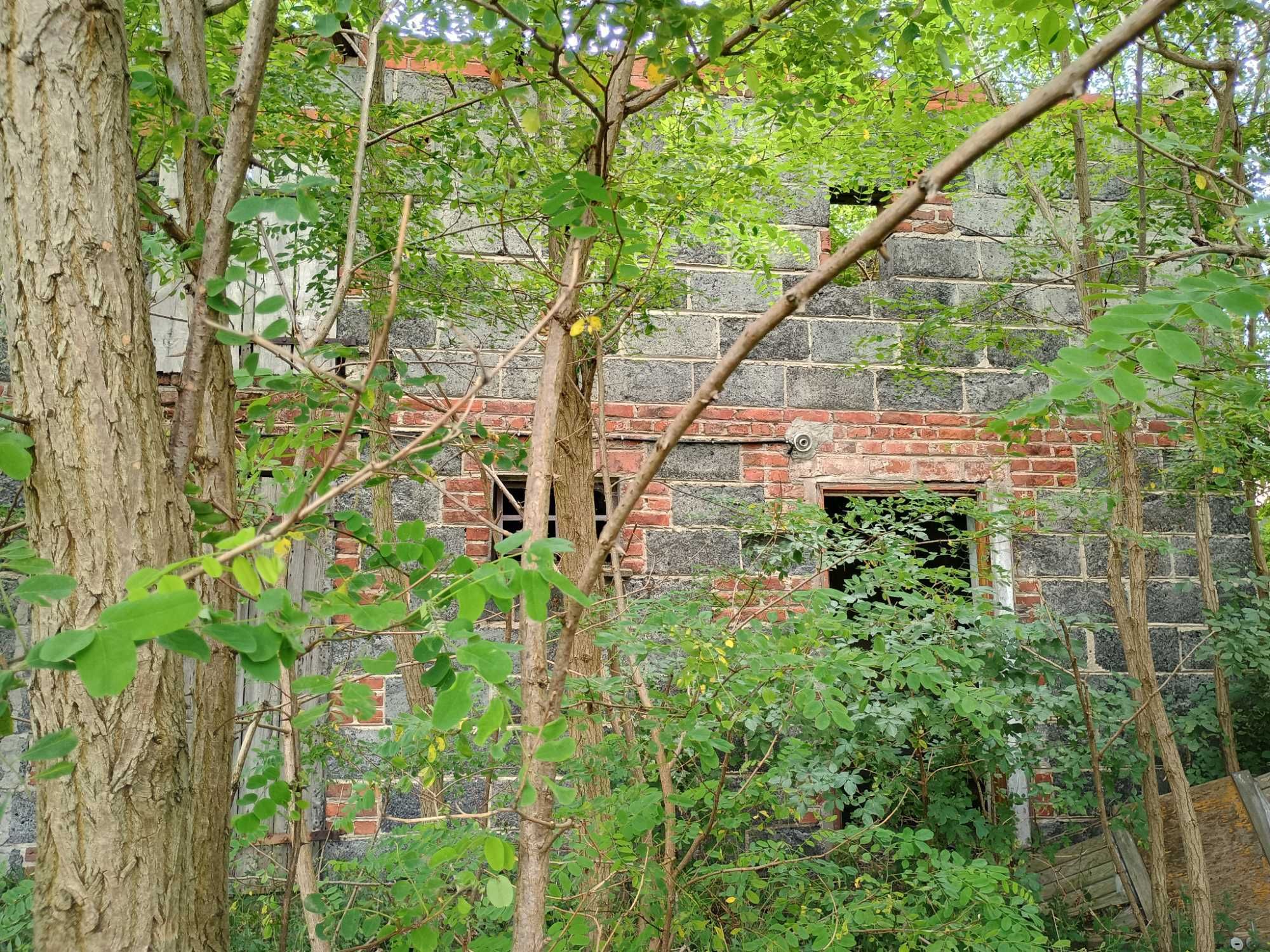 Sprzedam działkę (nieruchomość rolna) 1,37 ha – Rychwał k. Konina