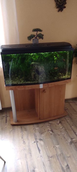 Szafka pod akwarium 100x40