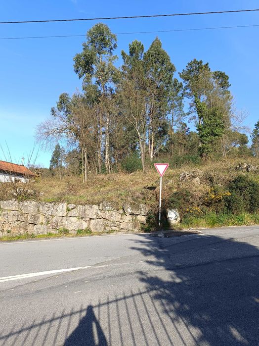 Terreno Santa Apolónia silvares
