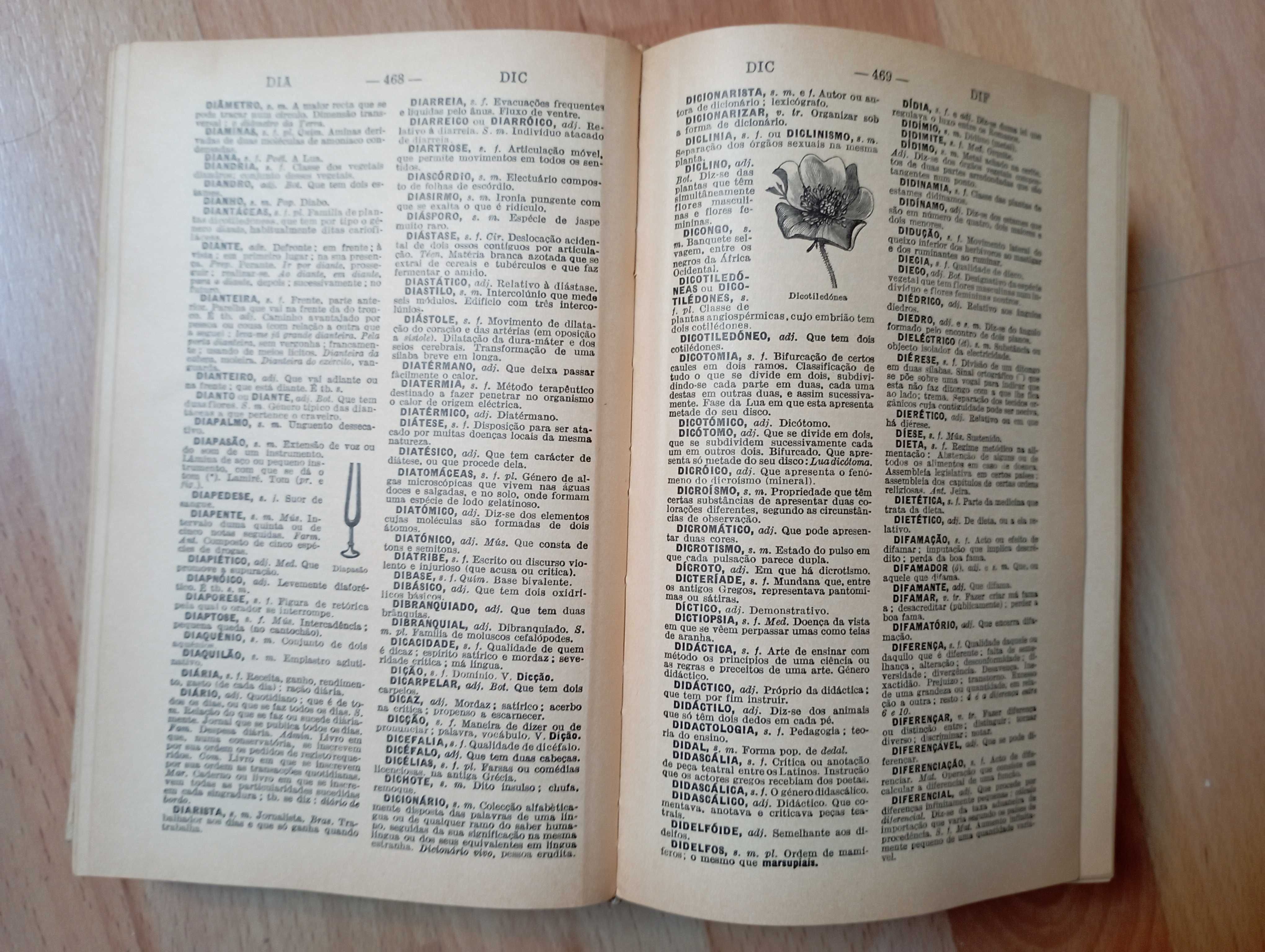 Dicionário antigo Lello Popular