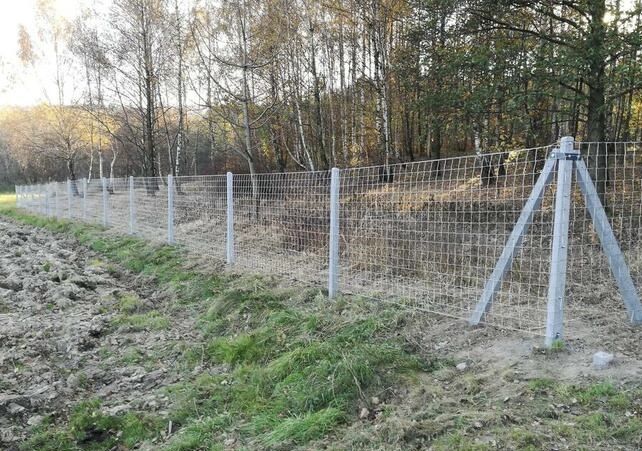 Ogrodzenia Tymczasowe Leśne działki ogrodzenie