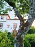 CASAS férias BRAGA . Cap. 12 +120- 2 Piscinas
