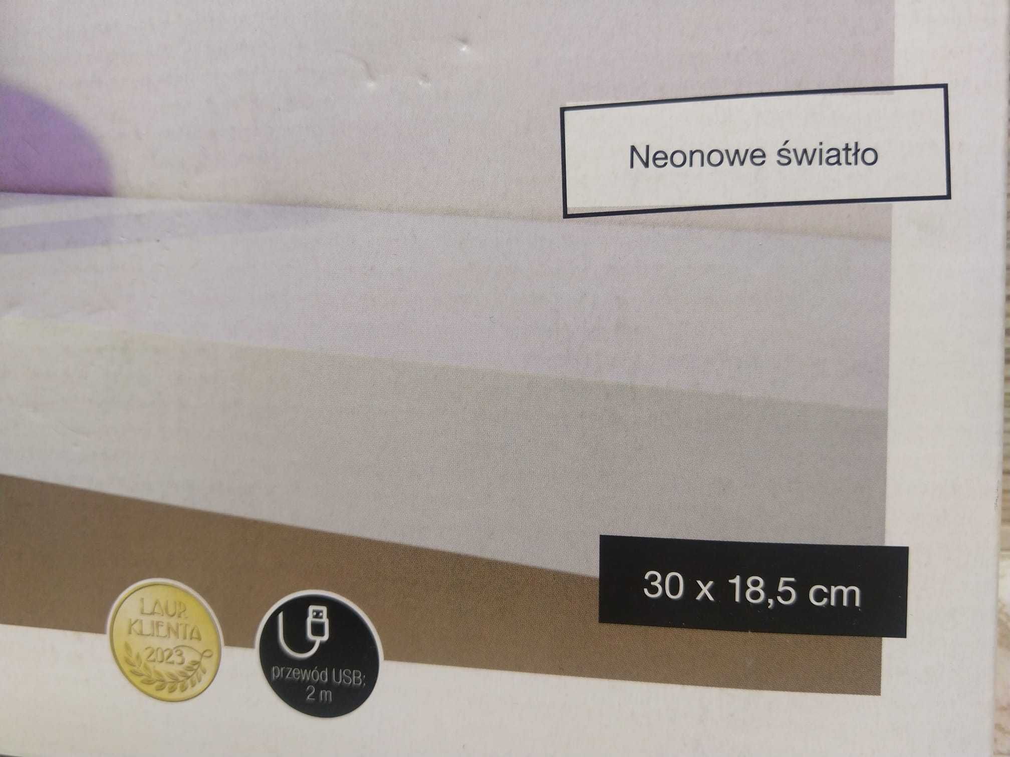 NOWA Neon Chmurka Led Dekoracja Ścienna Lampka USB SMUKEE