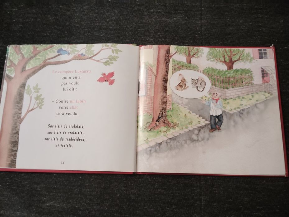 Livro Escrito em Francês Usado
