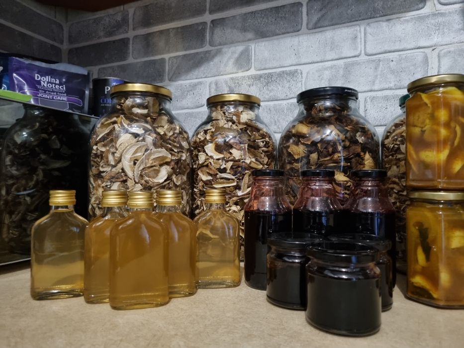 Grzyby suszone Borowik